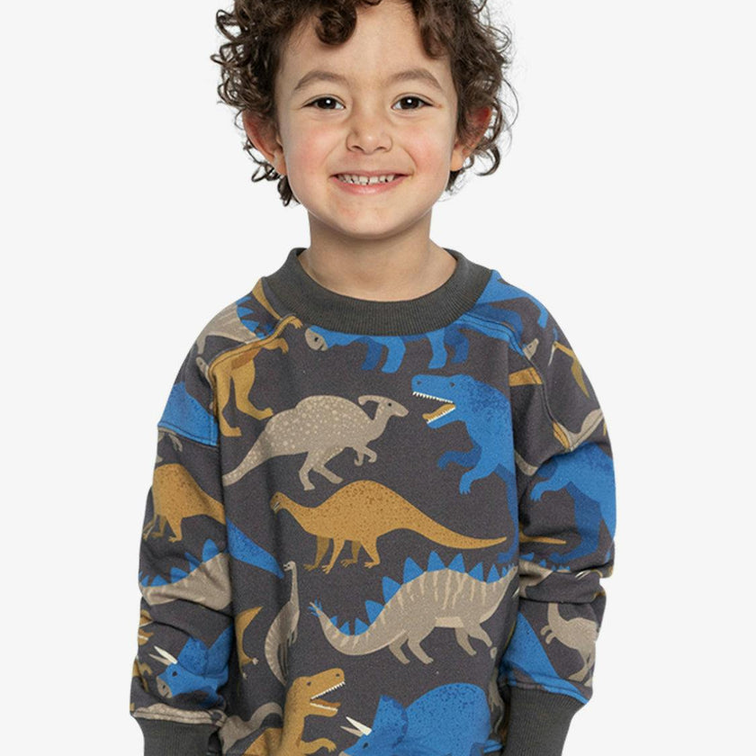 Fleece Sweatshirt Grey Dinosaur Print