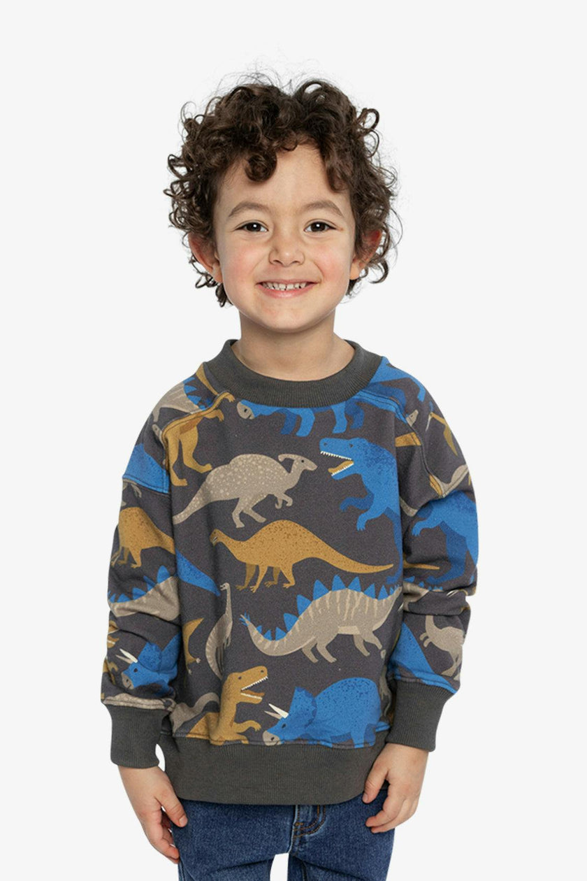 Fleece Sweatshirt Grey Dinosaur Print