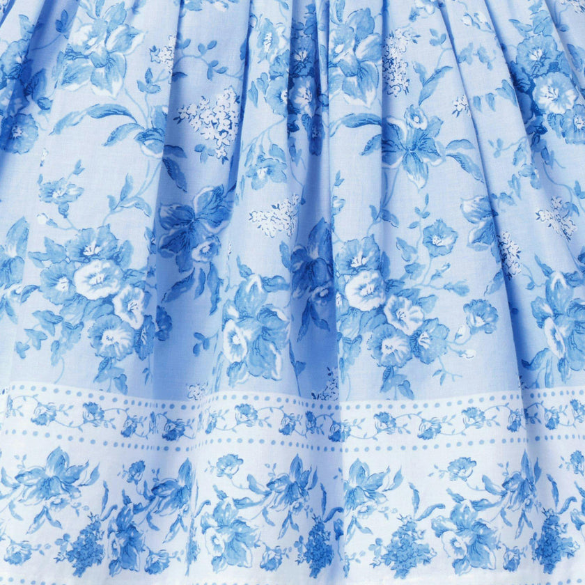 Baby Floral Border Print Dress, blue