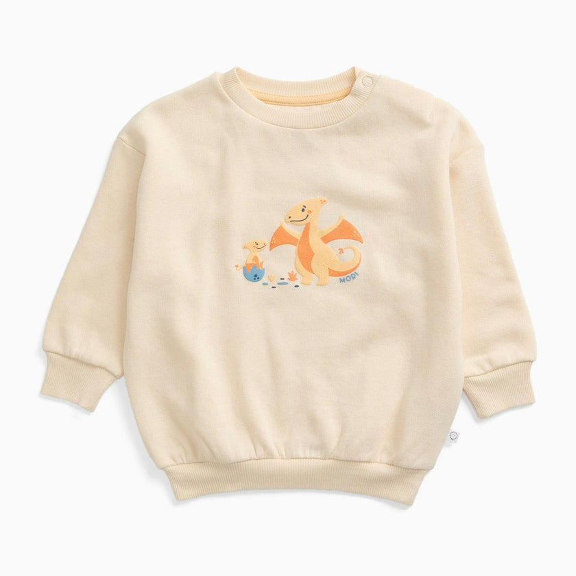 Pterodactyl Dinosaur Oversized Sweater