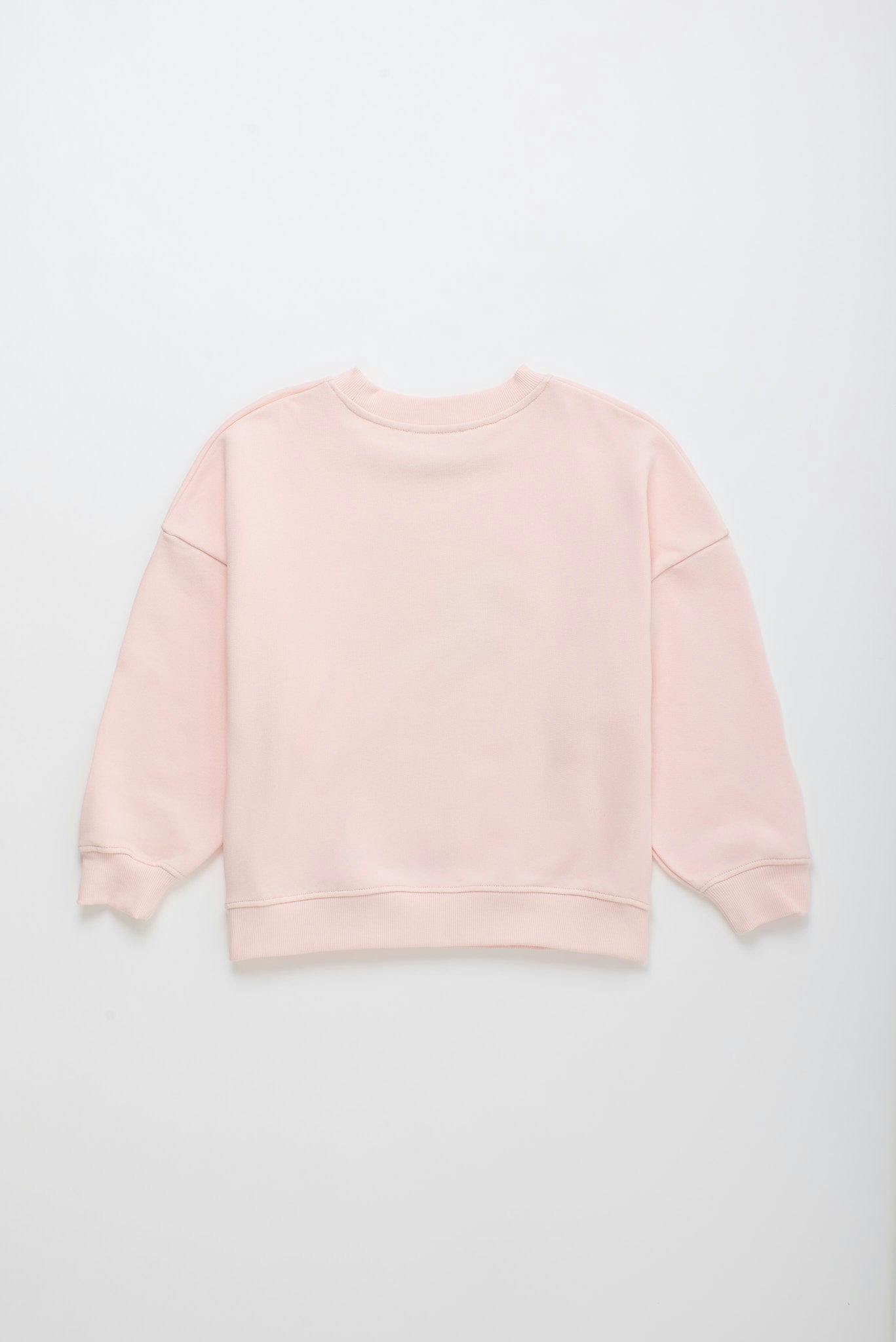 BIRDS SWEATSHIRT BLUSH