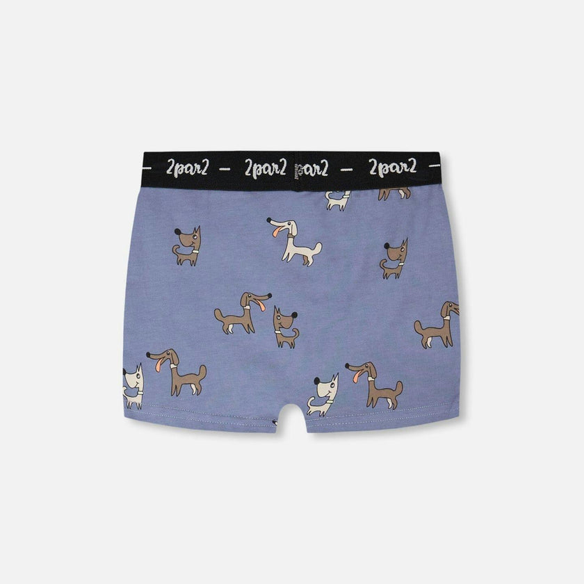 Organic Cotton Boxer Blue Print