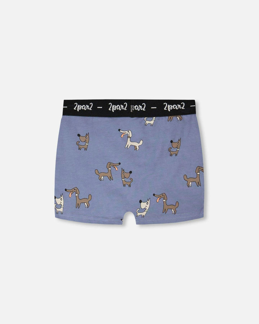 Organic Cotton Boxer Blue Print