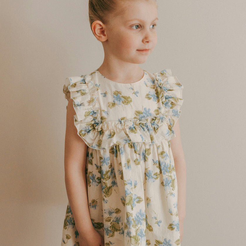 Neomi Dress | Cornflower Blue
