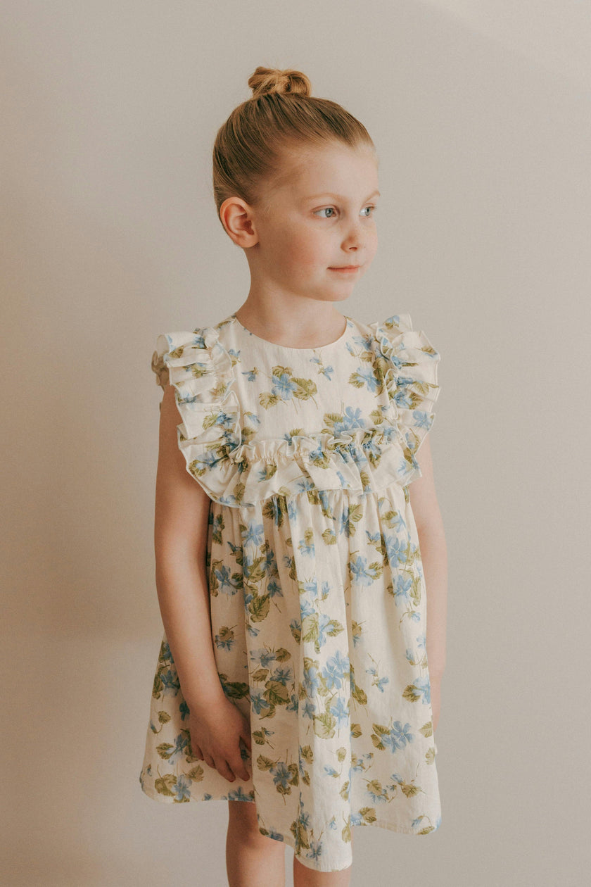 Neomi Dress | Cornflower Blue