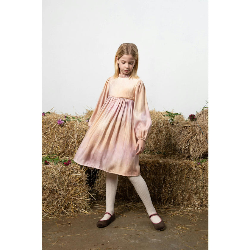 Elizabeth Dress, Multi