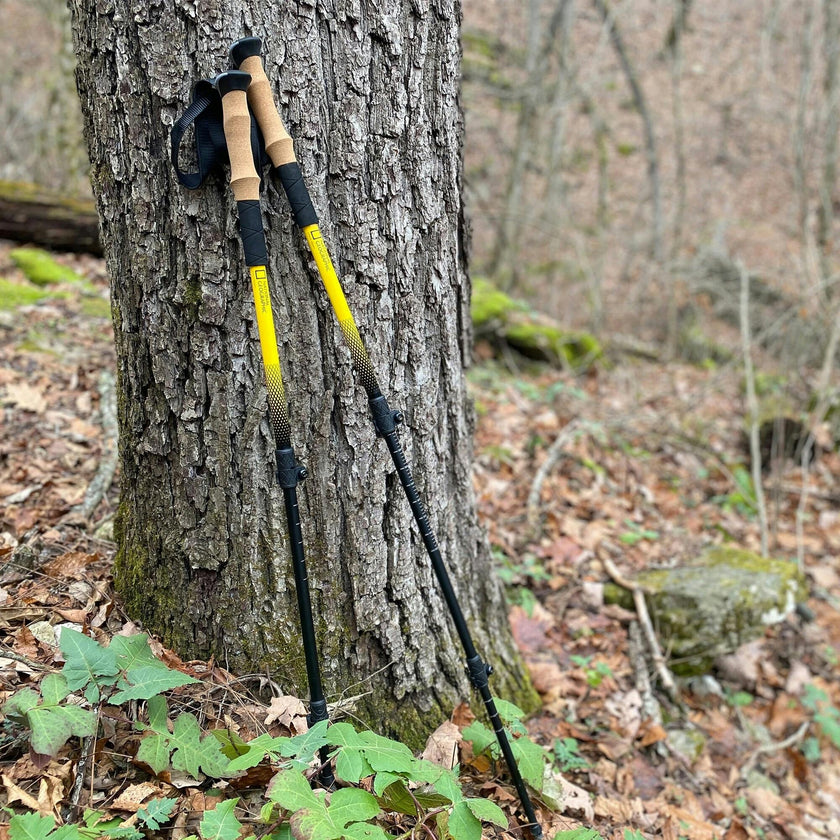 National Geographic Carbon Trekking Poles