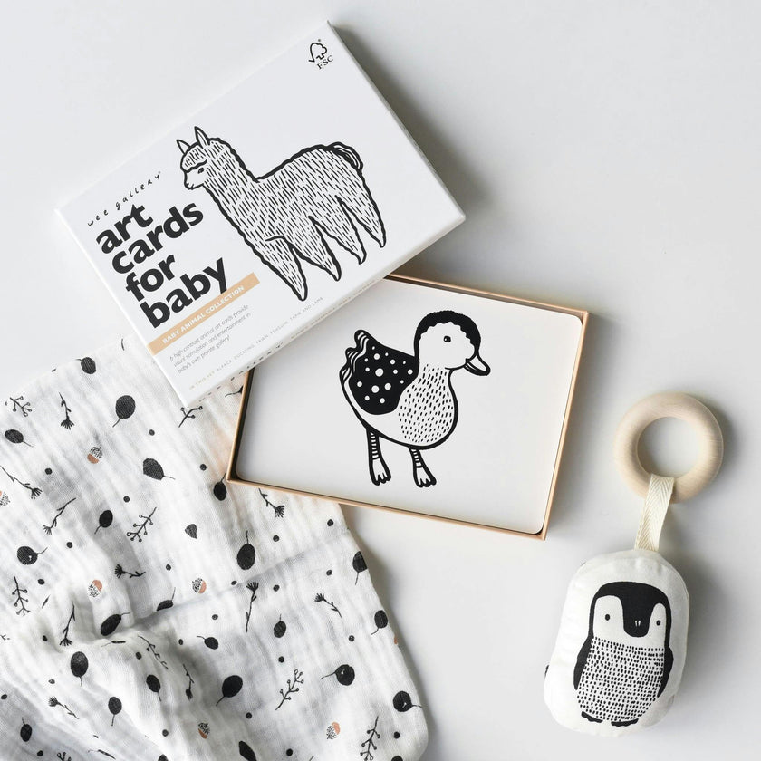Gift Set Baby Animal s
