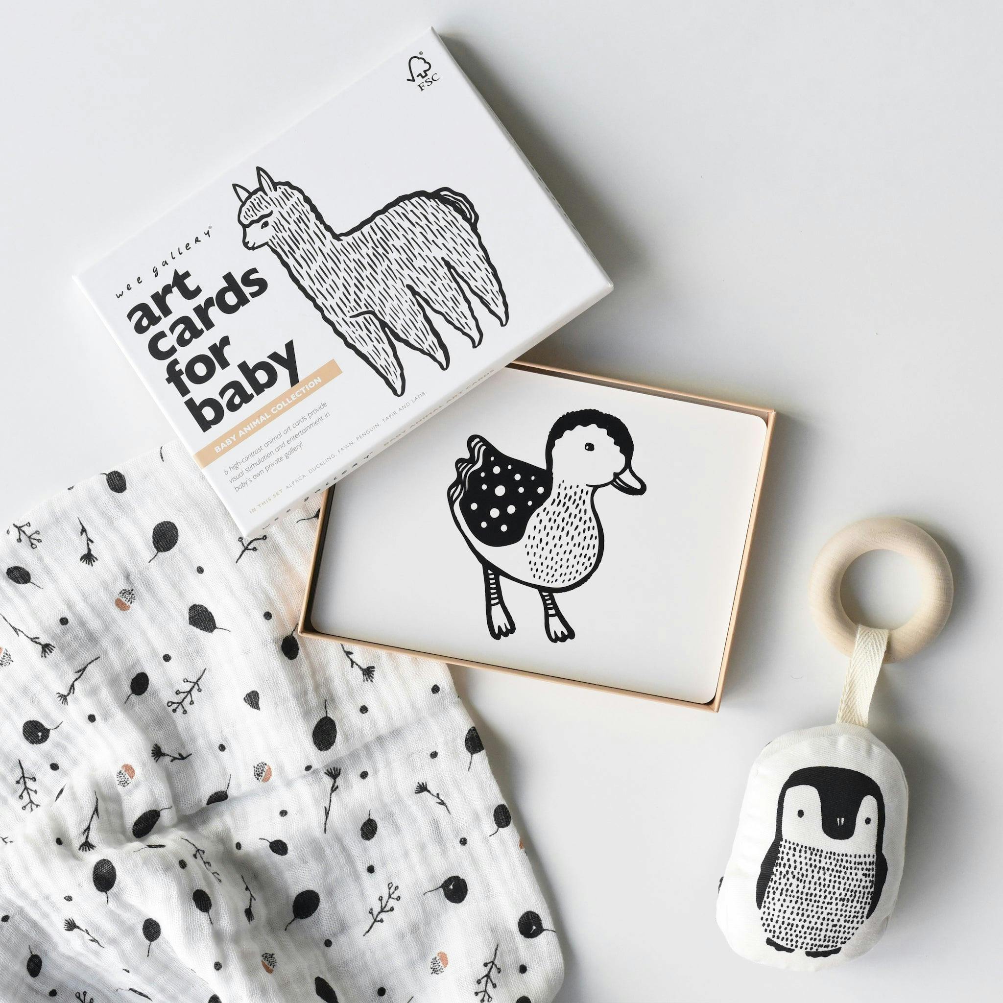 Gift Set Baby Animal s