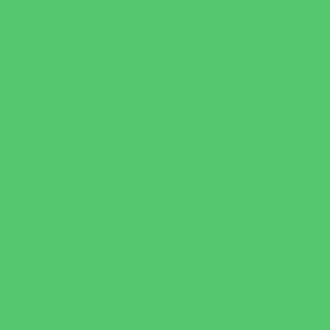 Girls TLC Crop Top in Spring Green