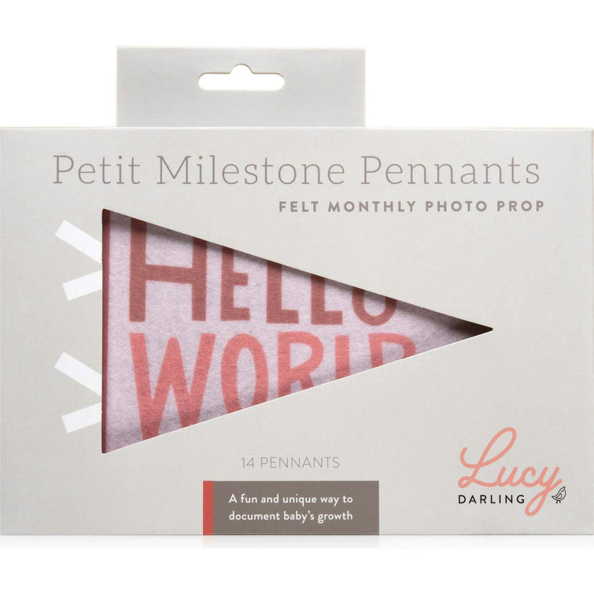 Blushing Meadow Petit Milestone Pennant
