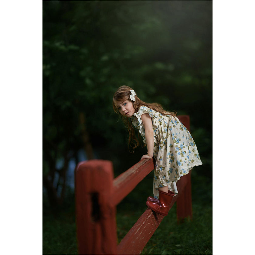 Neomi Dress | Cornflower Blue