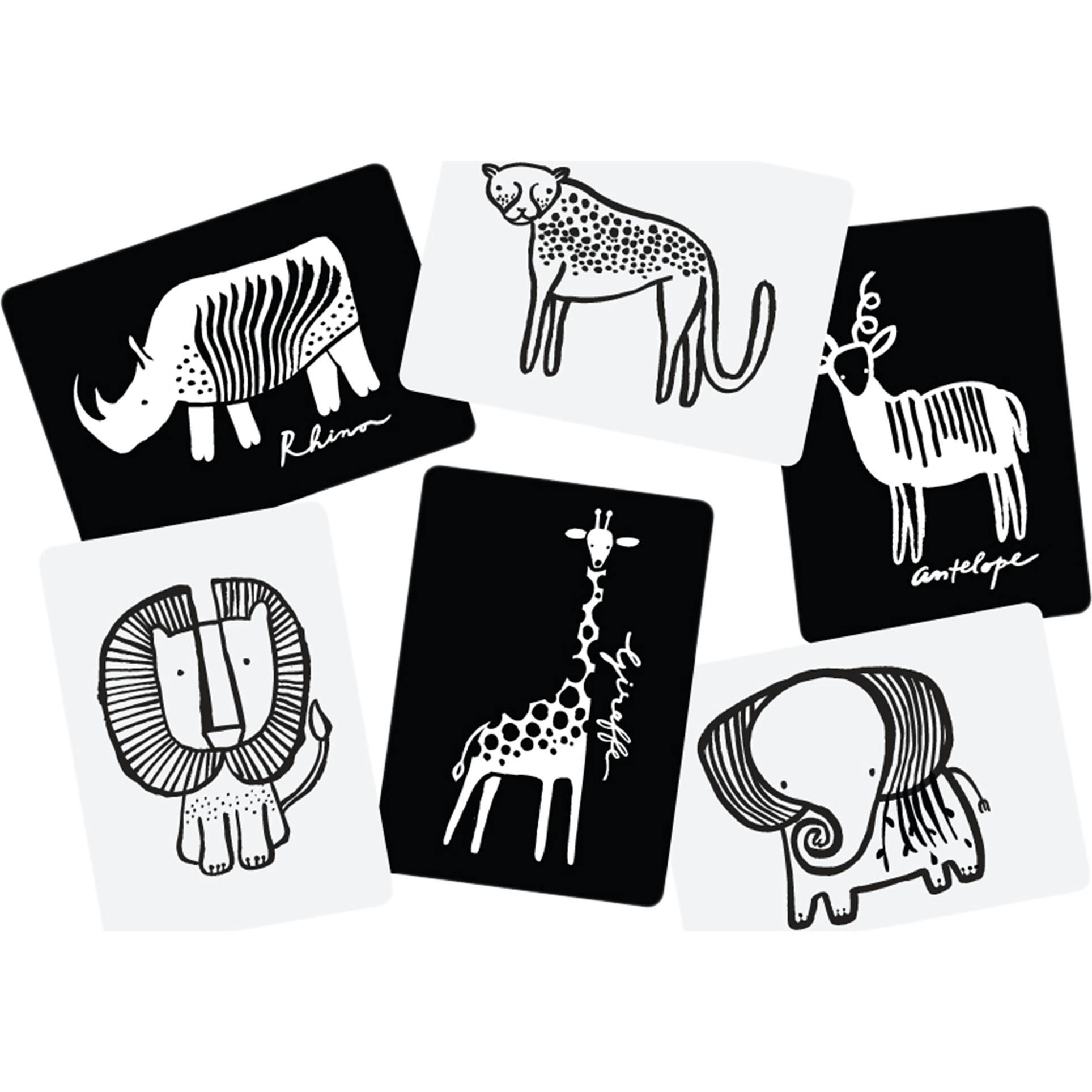 Safari Art Cards for Baby