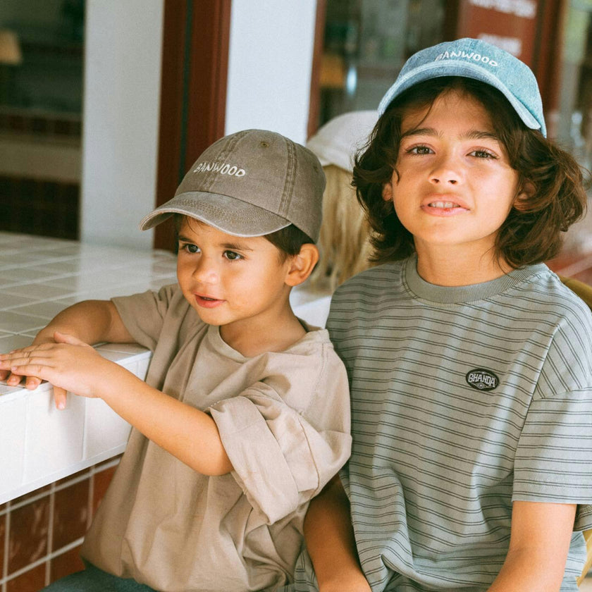 BANWOOD WASHED CAP - BROWN