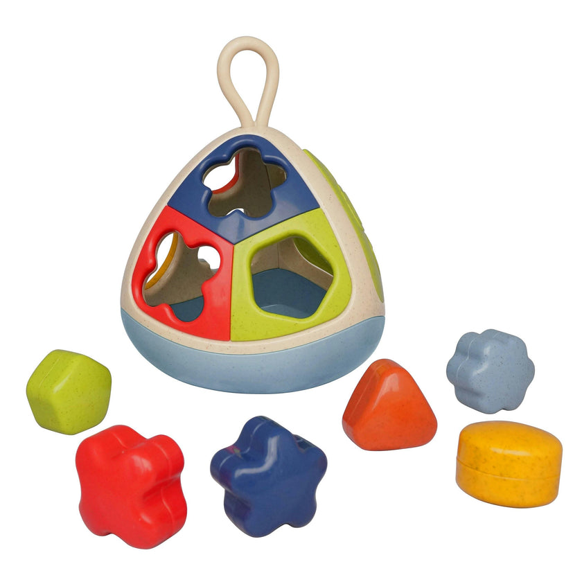 The Bio Shape Sorter