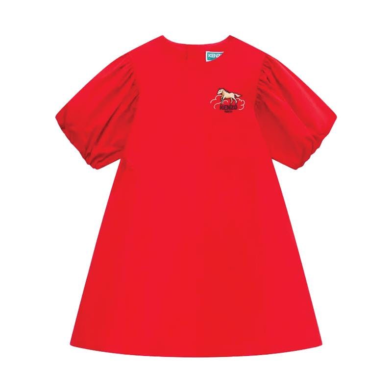 Lunar New Year' Embroidered Dress in Poplin