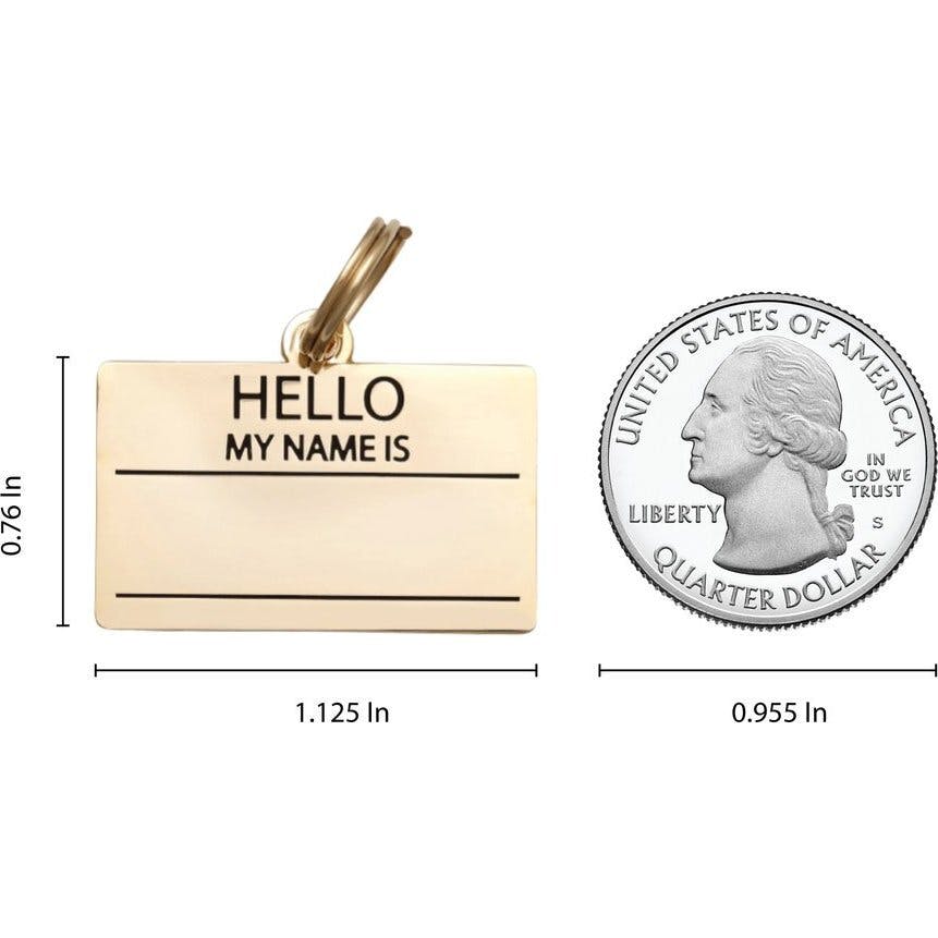 Hello My Name is Pet ID Tag