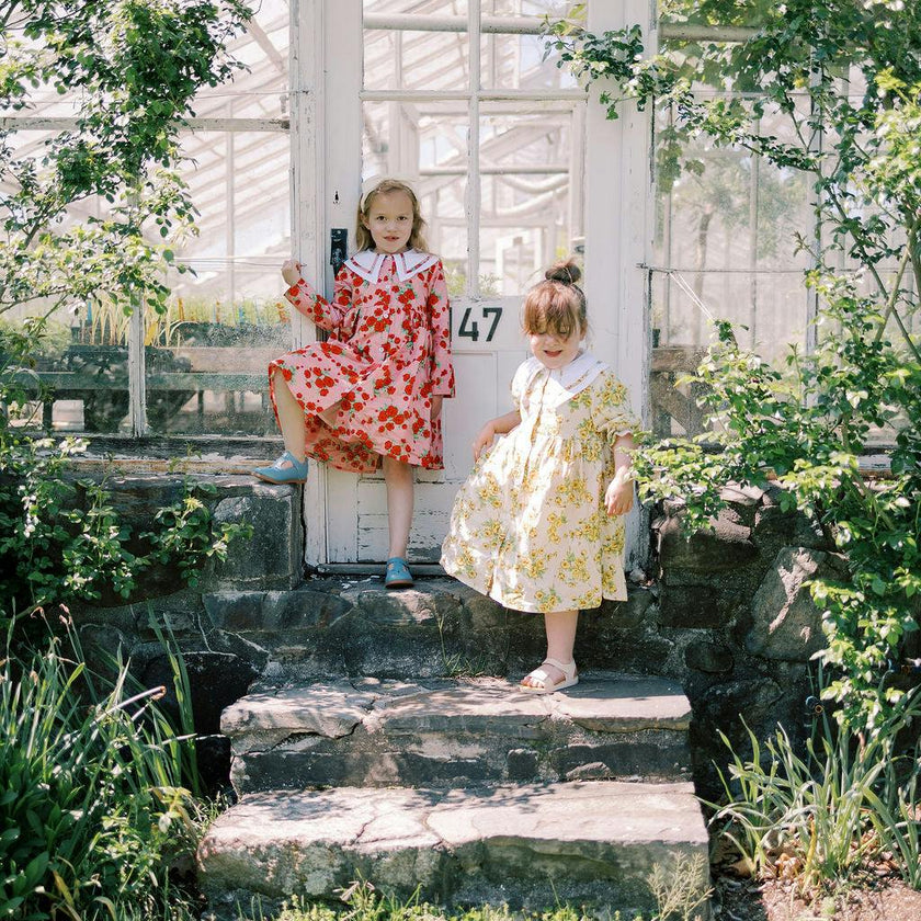 The Garden Dress |Vintage Rose
