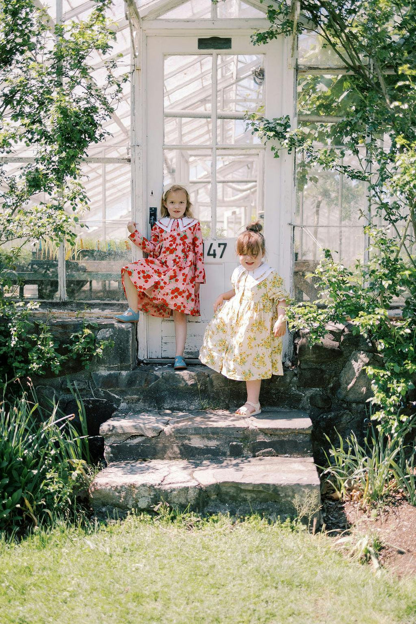 The Garden Dress |Vintage Rose