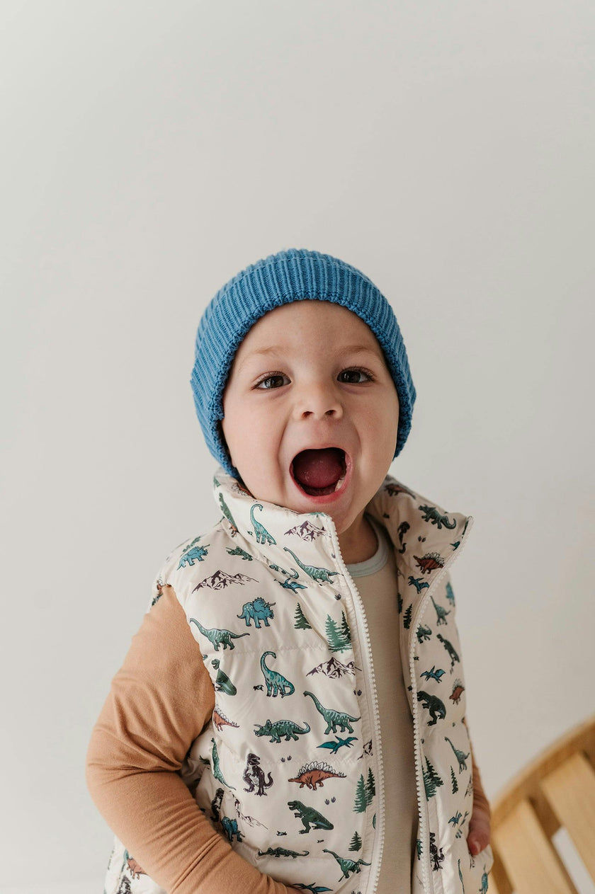 Kids Puffer Vest in Dino Land