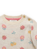Ladybird Jumper Ladybird Jacquard