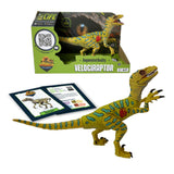 AR Dino Explorer Combo: Velociraptor - XL & Brick