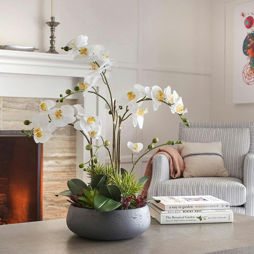 Artificial Orchid with Succulents