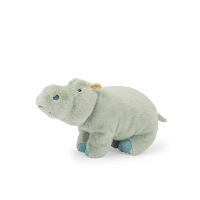 Large Hippopotamus - All Around The World