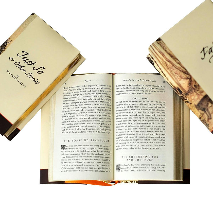 Fairytales and Fables Book Set