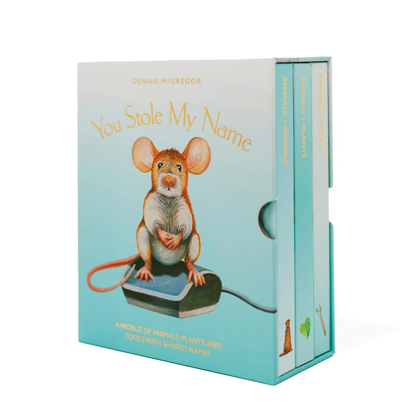 You Stole My Name Board Book Box Set