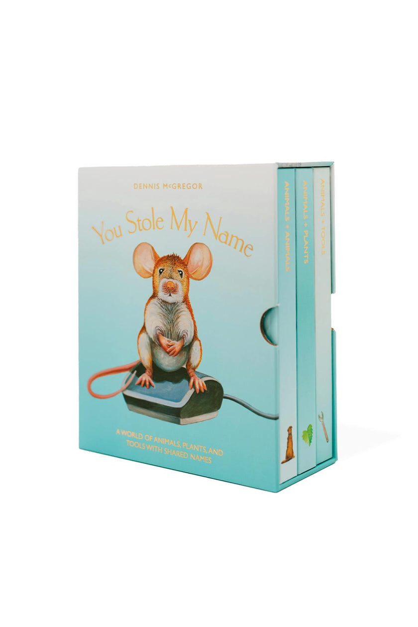 You Stole My Name Board Book Box Set