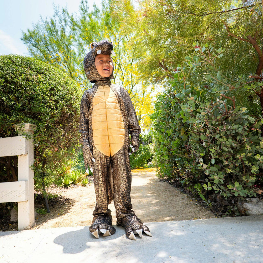 A Leading Role Signature T-Rex Dinosaur Child Dress Up