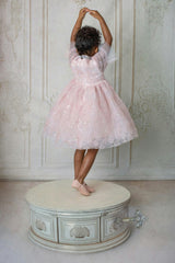 Blush Petal Music Box Dress