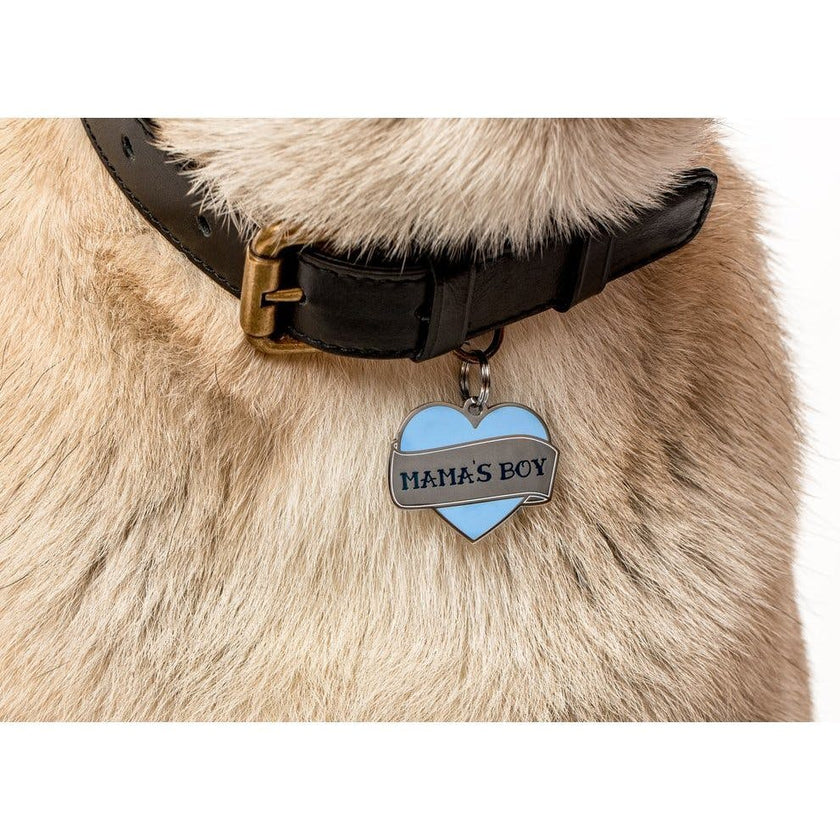 Mama's Boy Pet ID Tag