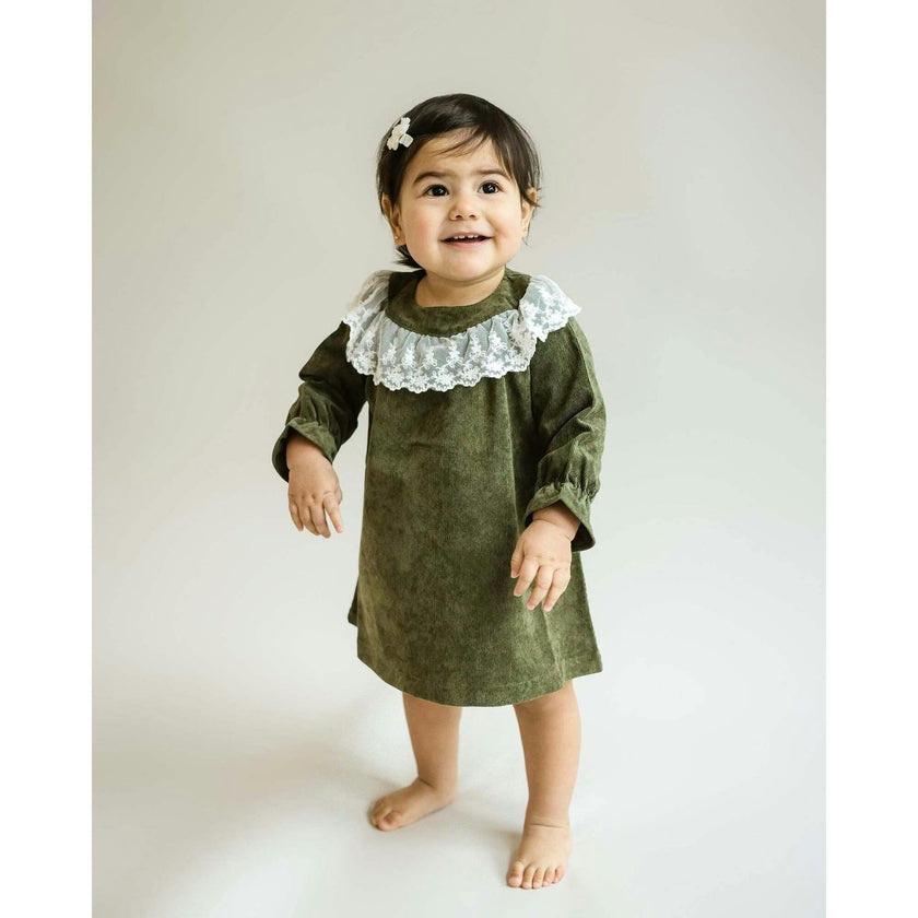 Lace Collar Dress