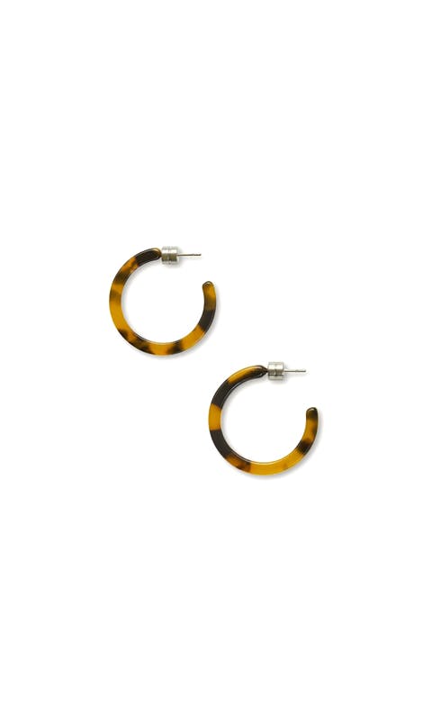 Mini Hoops in Classic Tortoise