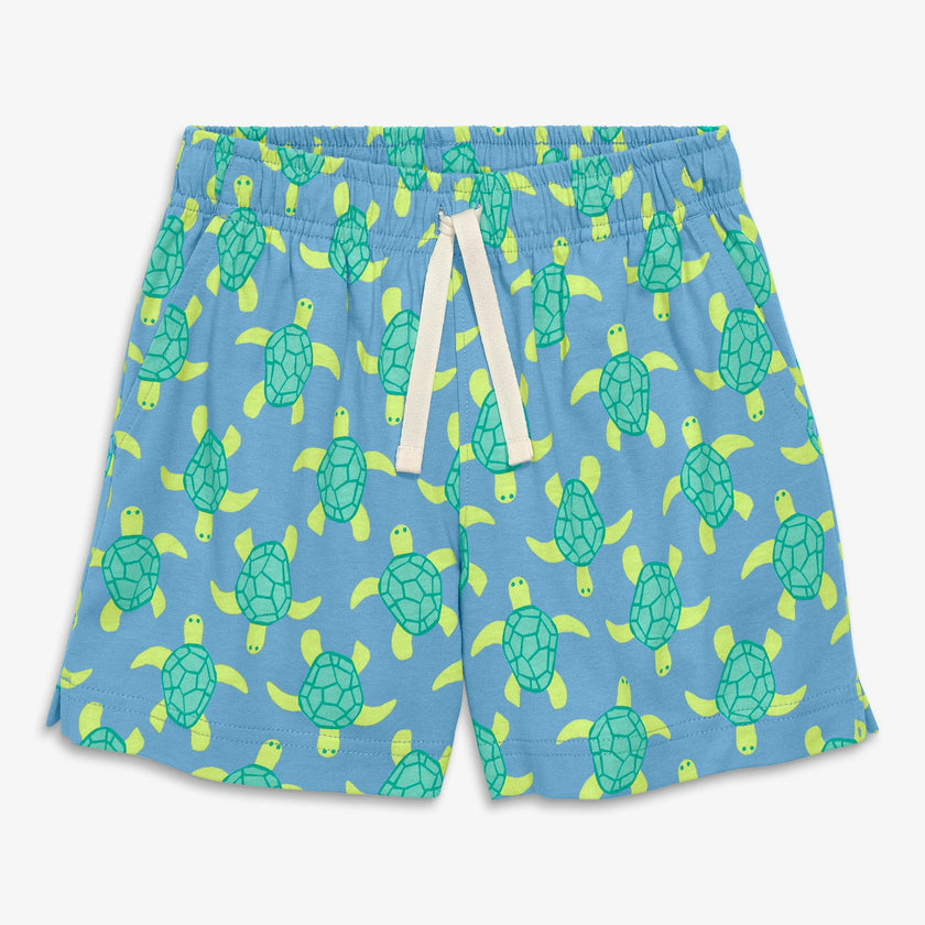 Kids park short in sea turtles