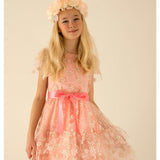 Cinderella Pink & Gold Blossom Tulle Girls Party Dress