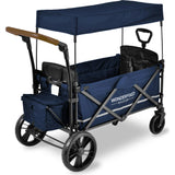 Pull & Push Double Stroller Wagon 2 Seater