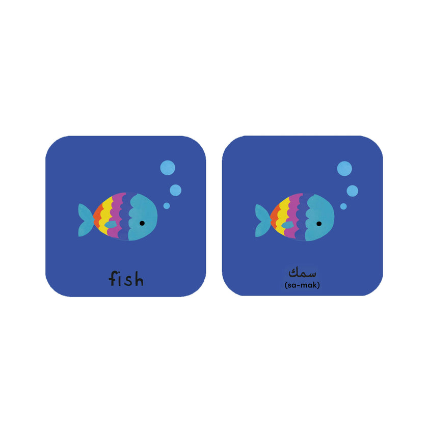Minilingo, Arabic/English Flashcards