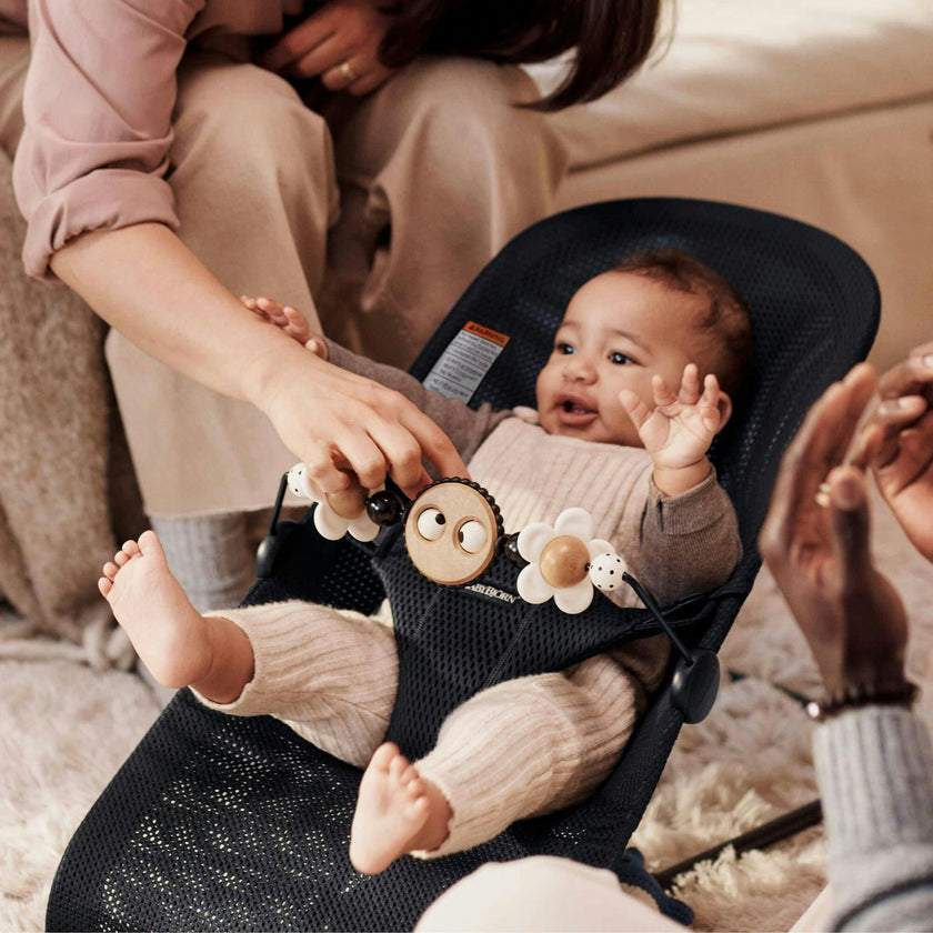 Toy for Bouncer