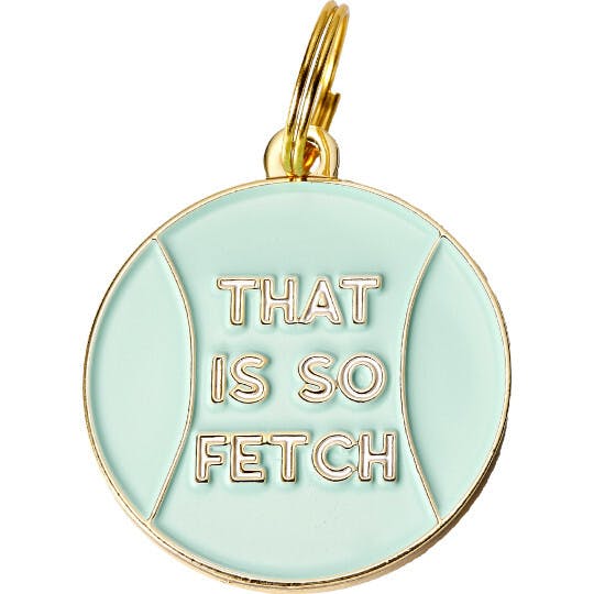 That's So Fetch Pet ID Tag