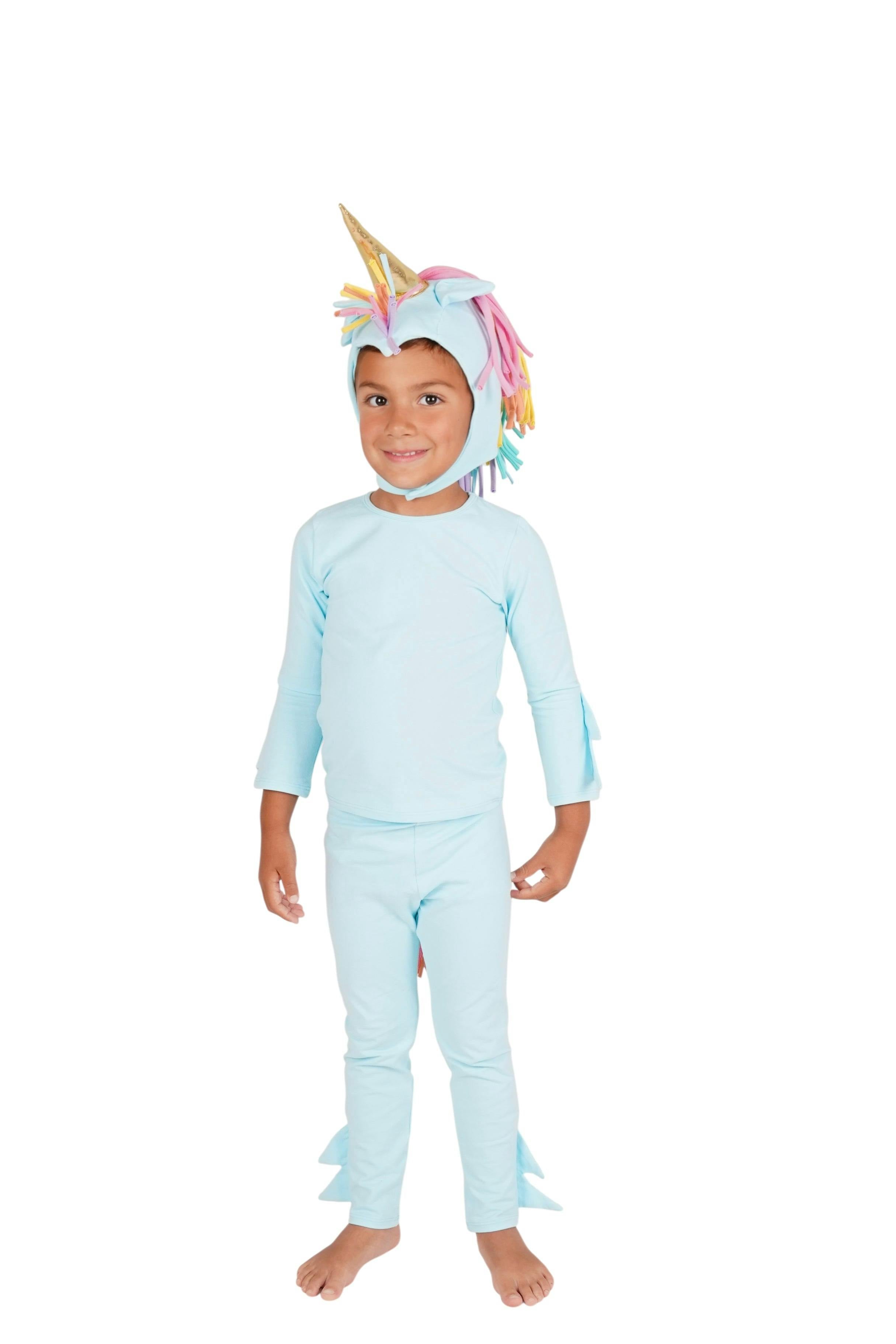 Rainbow Sky Unicorn