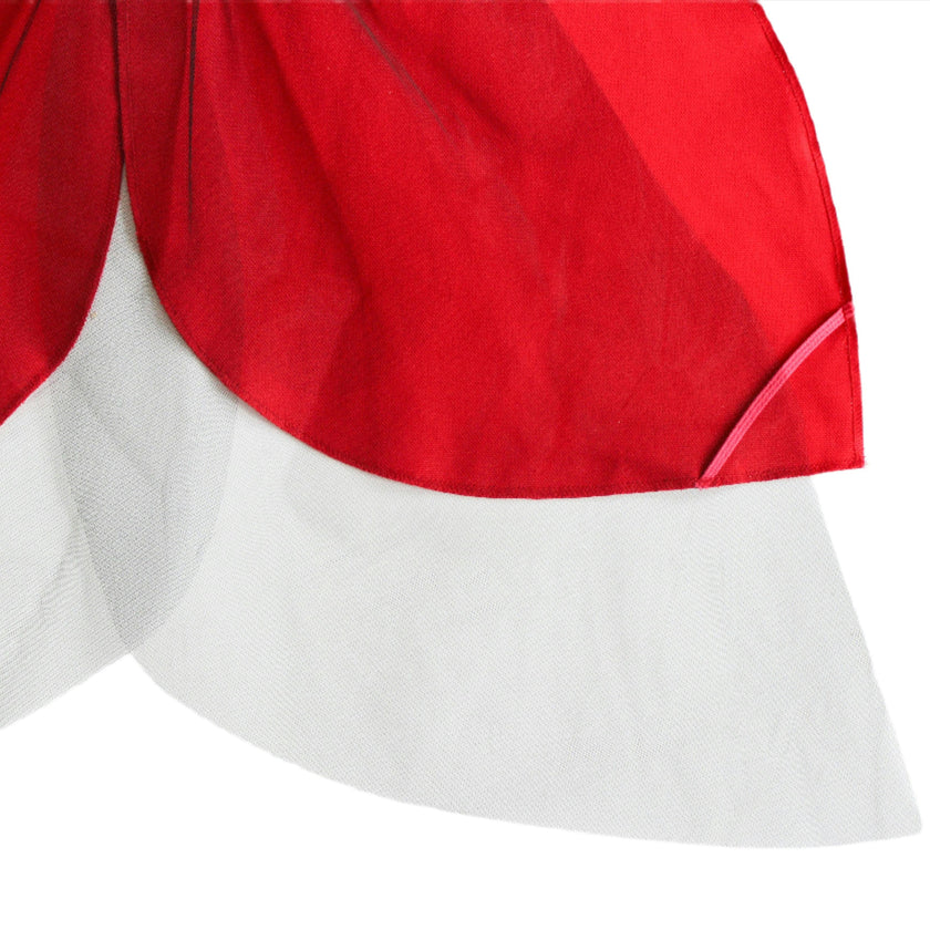 Costume Wings