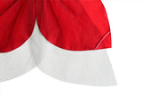 Costume Wings