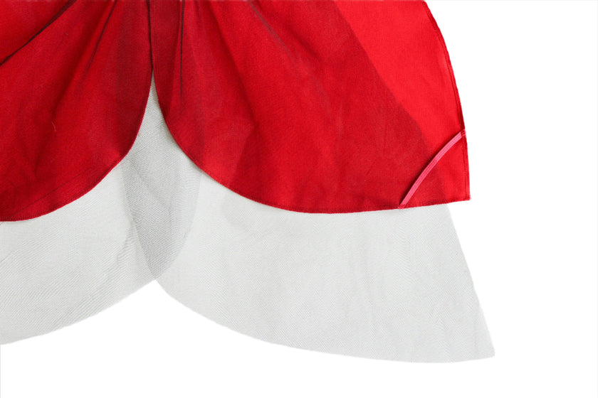 Costume Wings