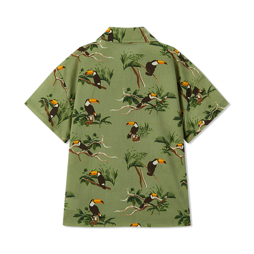 Collar Button-Up Shirt and Shorts Set