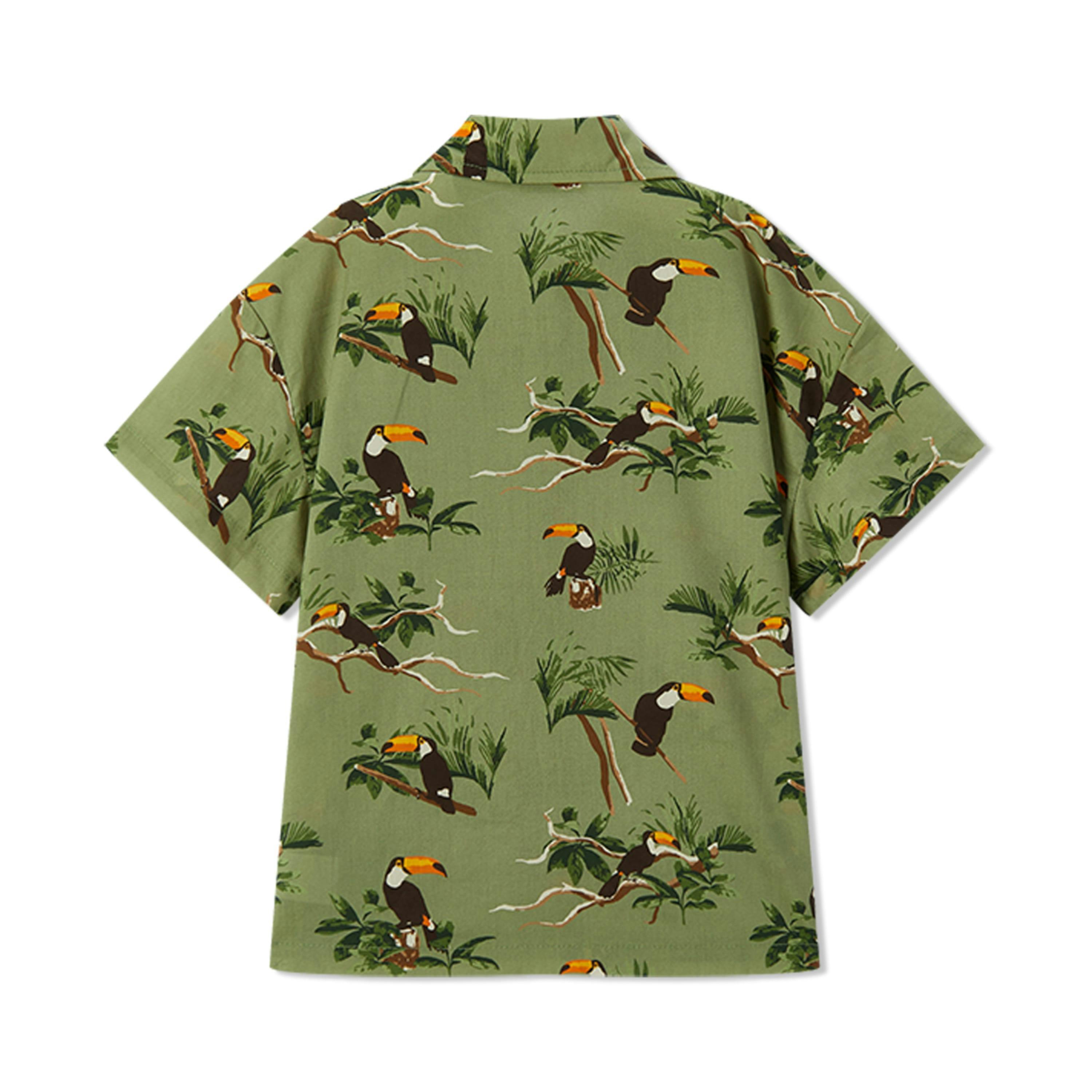 Collar Button-Up Shirt and Shorts Set