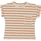 Striped Short Folded Sleeve T-Shirt