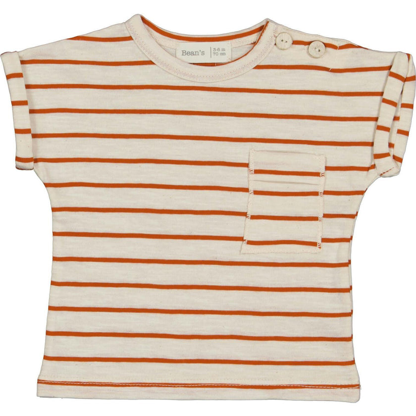 Striped Short Folded Sleeve T-Shirt